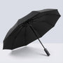 Compacte Reisklare Paraplu - RainGuardPro