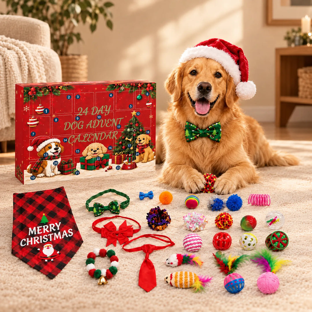 Rode adventskalender met kerstthema naast een golden retriever met kerstmuts en strikje, met speeltjes, strikjes en een bandana op het tapijt. 1