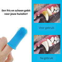 Dog Dental Cleaner | Safe Material & Convenient to Use