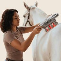 Red Light Massager for Relaxed, Supple Horse Muscles 1