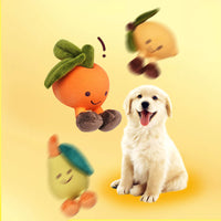 Fruchtiges Quietschspielzeug für Hunde - FruityChew