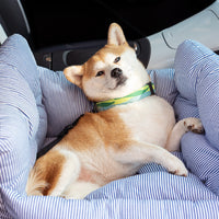 Haustier-Autositz - RoadTrip Pet Bolster