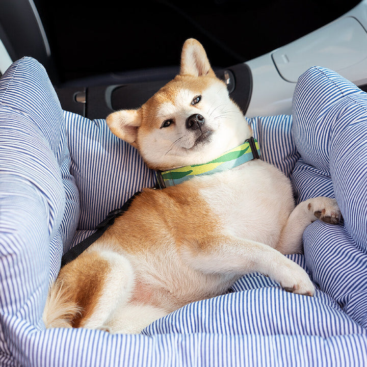Haustier-Autositz - RoadTrip Pet Bolster