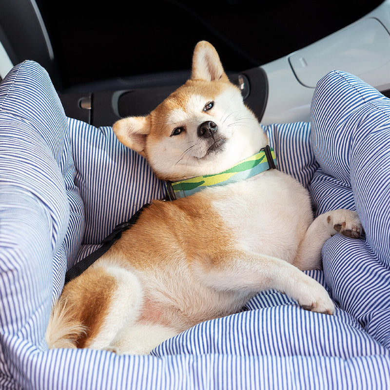 Haustier-Autositz - RoadTrip Pet Bolster