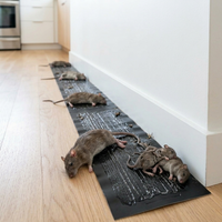 Lijmval langs een plint in een keuken met meerdere gevangen ratten en insecten 1