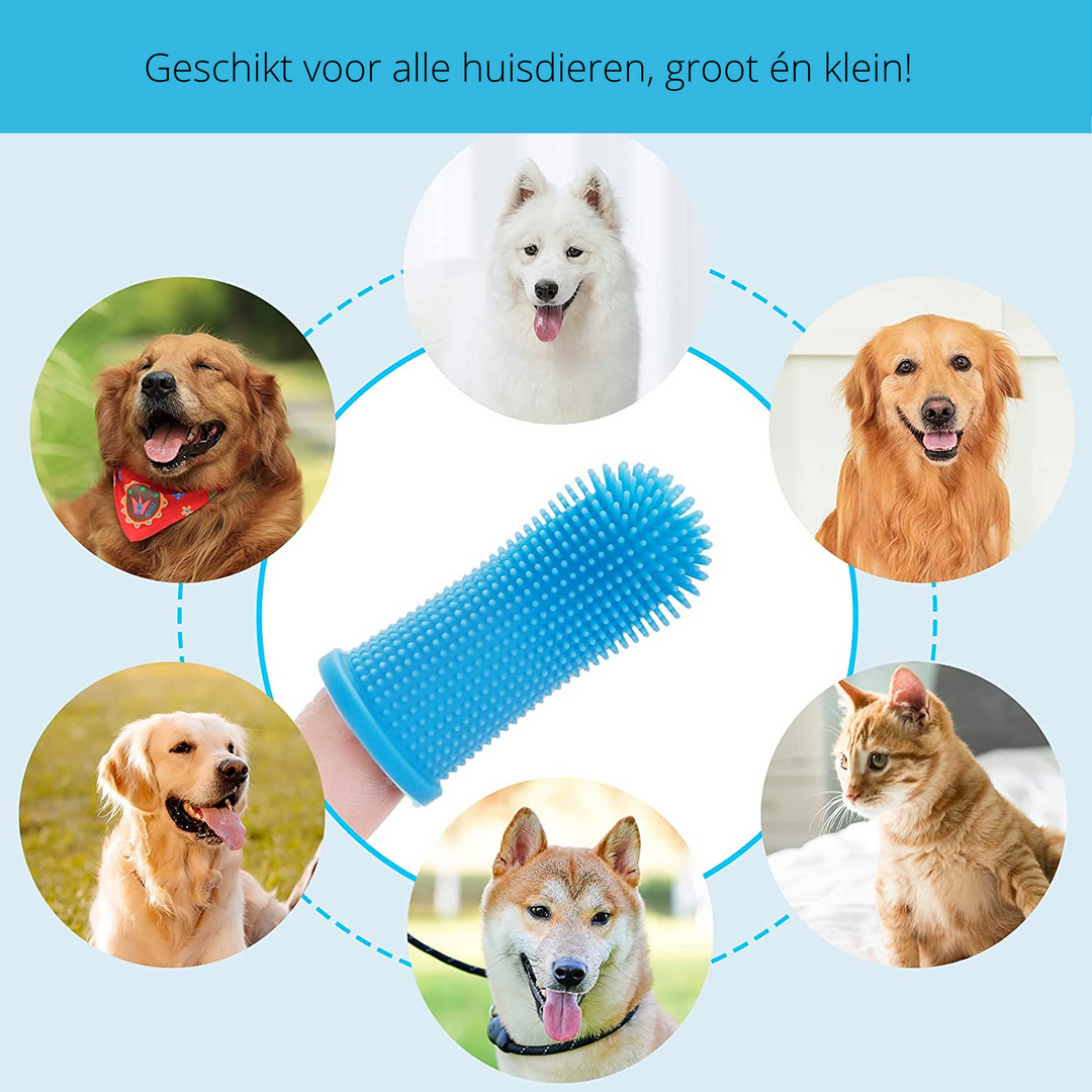Dog Dental Cleaner | Safe Material & Convenient to Use