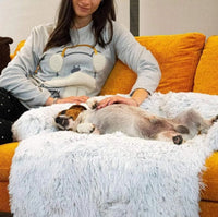 Luxe Hondensofa Bed - PawLounge