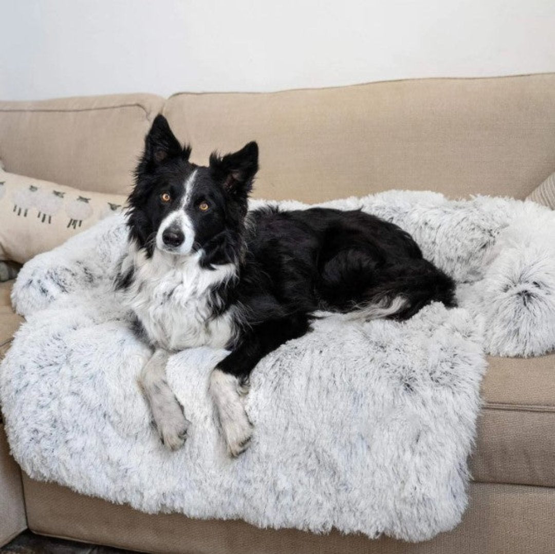 Luxe Hondensofa Bed - PawLounge