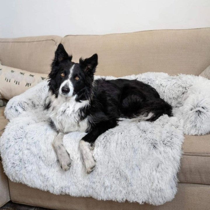 Luxe Hondensofa Bed - PawLounge