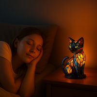 De kattenlamp verlicht op een nachtkastje naast een slapende vrouw in een schemerige slaapkamer 2