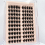 Glue-Free Lash Clusters - Celiara