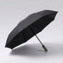 Grote Automatische Opvouwbare Paraplu - RainShield