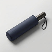 Grote Automatische Opvouwbare Paraplu - RainShield