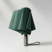 Grote Automatische Opvouwbare Paraplu - RainShield