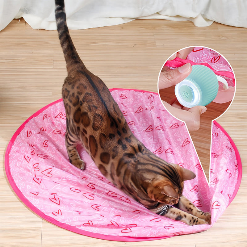 Interactief Bewegend Speeltje voor Katten – WhiskRoll