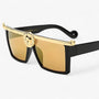 Retro Sonnenbrille im Löwenstil – Ferrox