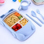 Kinder Lunchbox | Mach das Essen für dein Kind spaßig