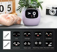 Automatic Smart Flowerpot - GreenBuddy SmartPot