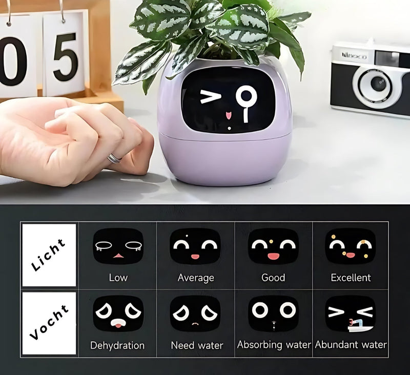 Automatic Smart Flowerpot - GreenBuddy SmartPot