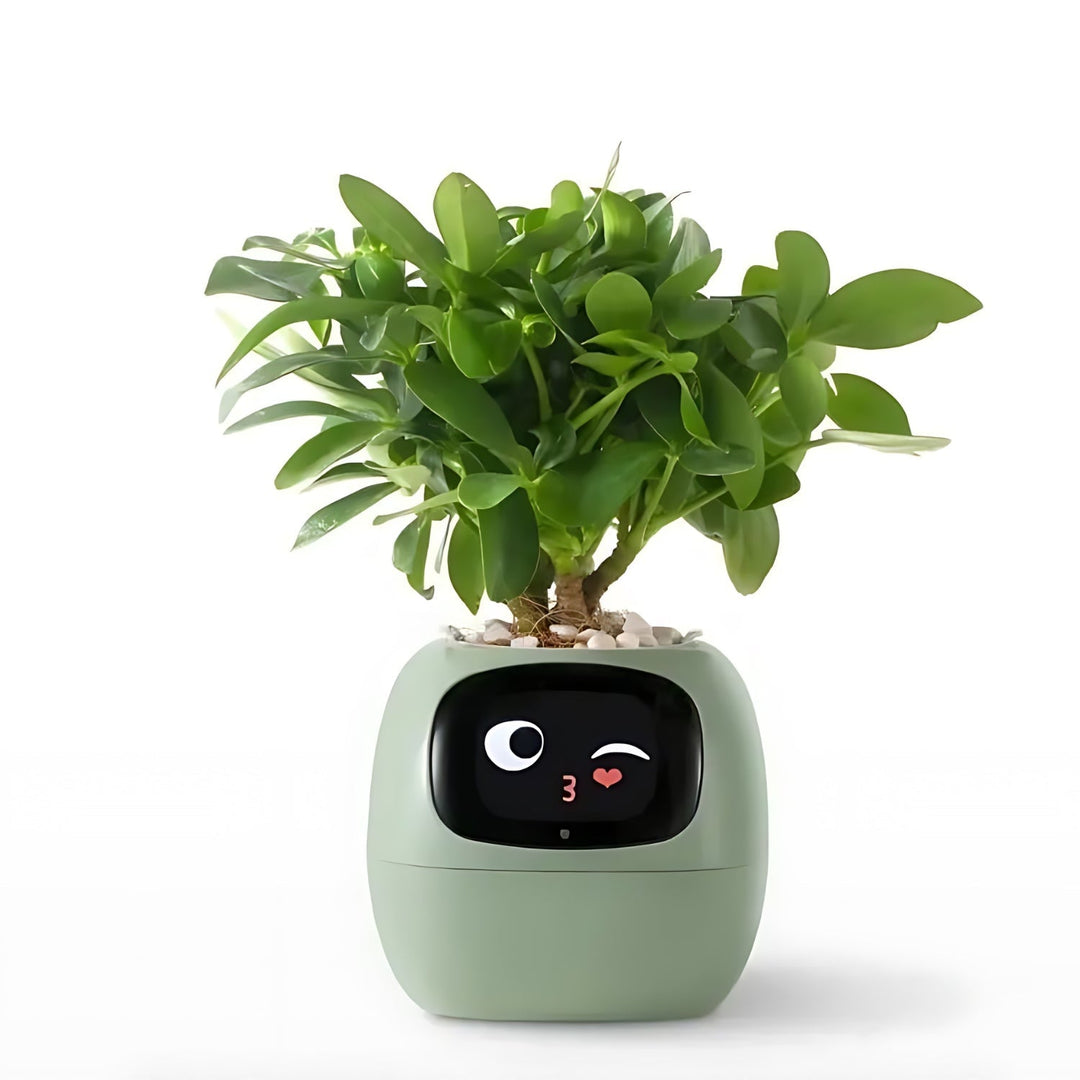 Automatic Smart Flowerpot - GreenBuddy SmartPot