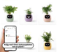 Automatic Smart Flowerpot - GreenBuddy SmartPot