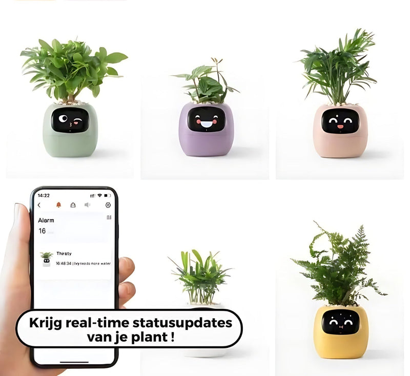 Automatic Smart Flowerpot - GreenBuddy SmartPot