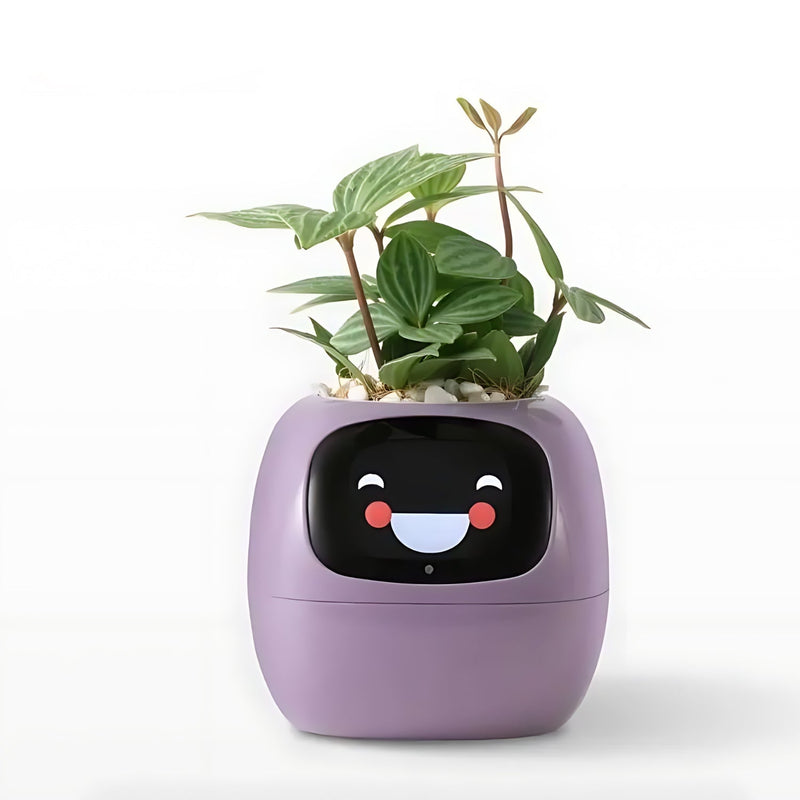 Automatic Smart Flowerpot - GreenBuddy SmartPot