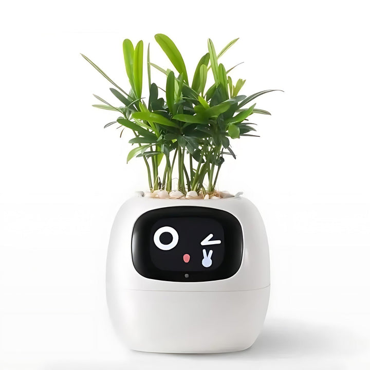 Automatic Smart Flowerpot - GreenBuddy SmartPot