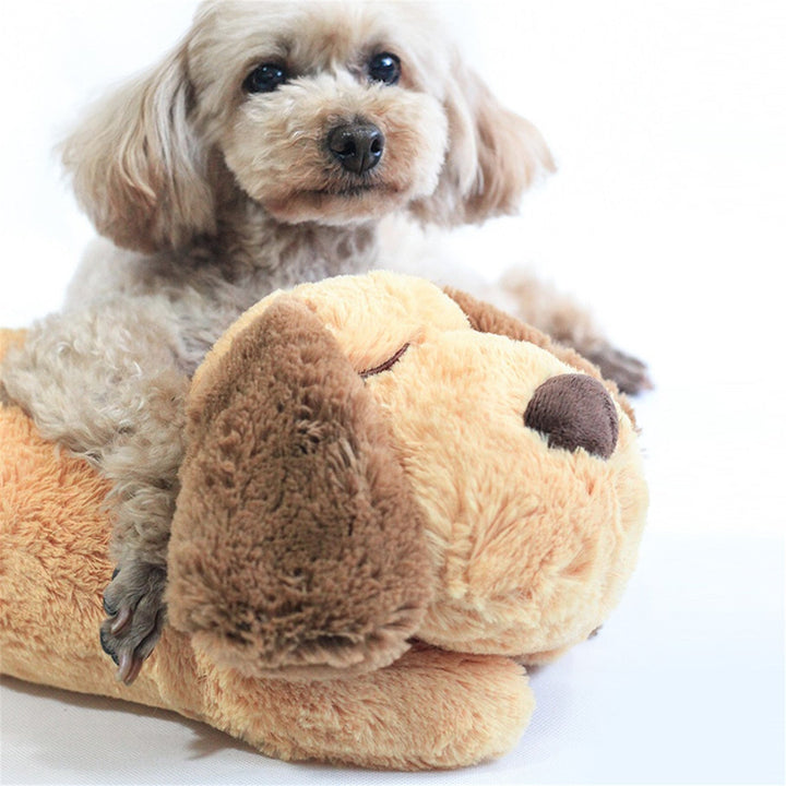 CuddlePup | A calming companion for your four-legged friend!