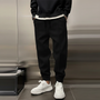 Herren Sporthose Mit Elastbund -  Tanner