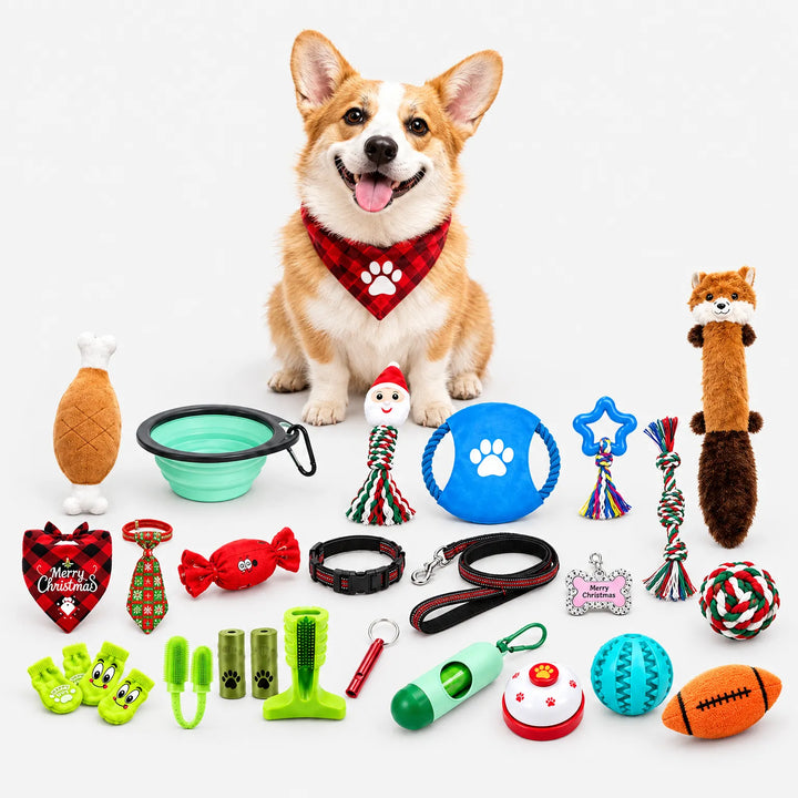 Alle onderdelen van de set uitgestald rond een zittende corgi: knuffels, touwspeeltjes, halsband, riem, bel, bal en andere hondenaccessoires. 2