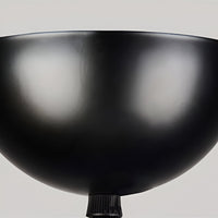 AppleGlow Pendant Light - Artistic E27 Fixture in Black & White 13