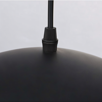 AppleGlow Pendant Light - Artistic E27 Fixture in Black & White 14