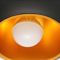AppleGlow Pendant Light - Artistic E27 Fixture in Black & White 10