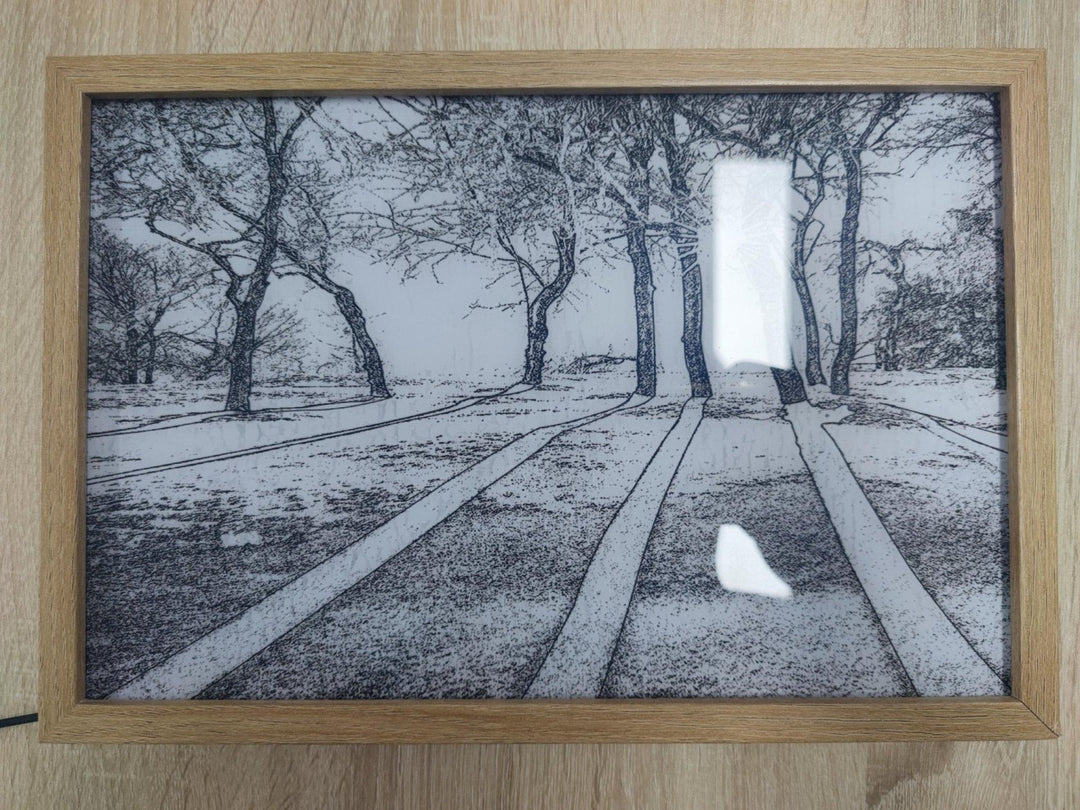 LED Verlichtingsschilderij – Luminza