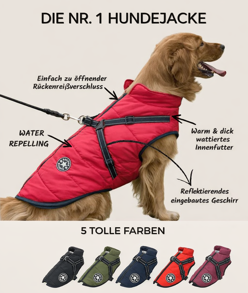 Gouden retriever draagt de rode jas met harnas; pijlen wijzen op rugrits, waterafstotende stof, warme voering en reflecterend harnas, met vijf kleuren onderaan. 2