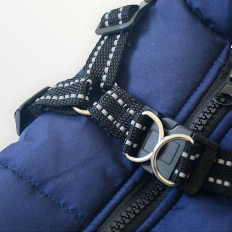 Close-up van het zwarte harnas met reflecterende stiksels, verstelbare gespen en metalen ringen op de blauwe gewatteerde jas. 6