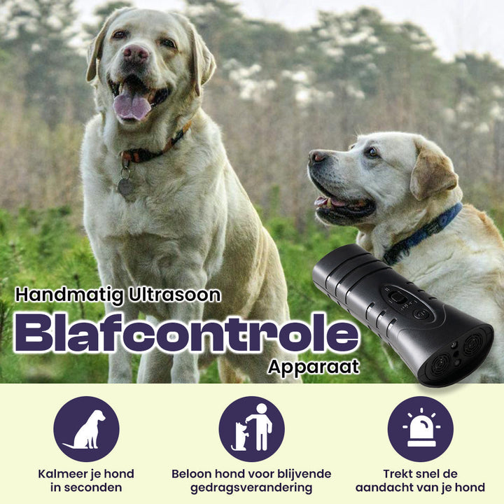 Bellenkontrollgerät - BarkBuddy