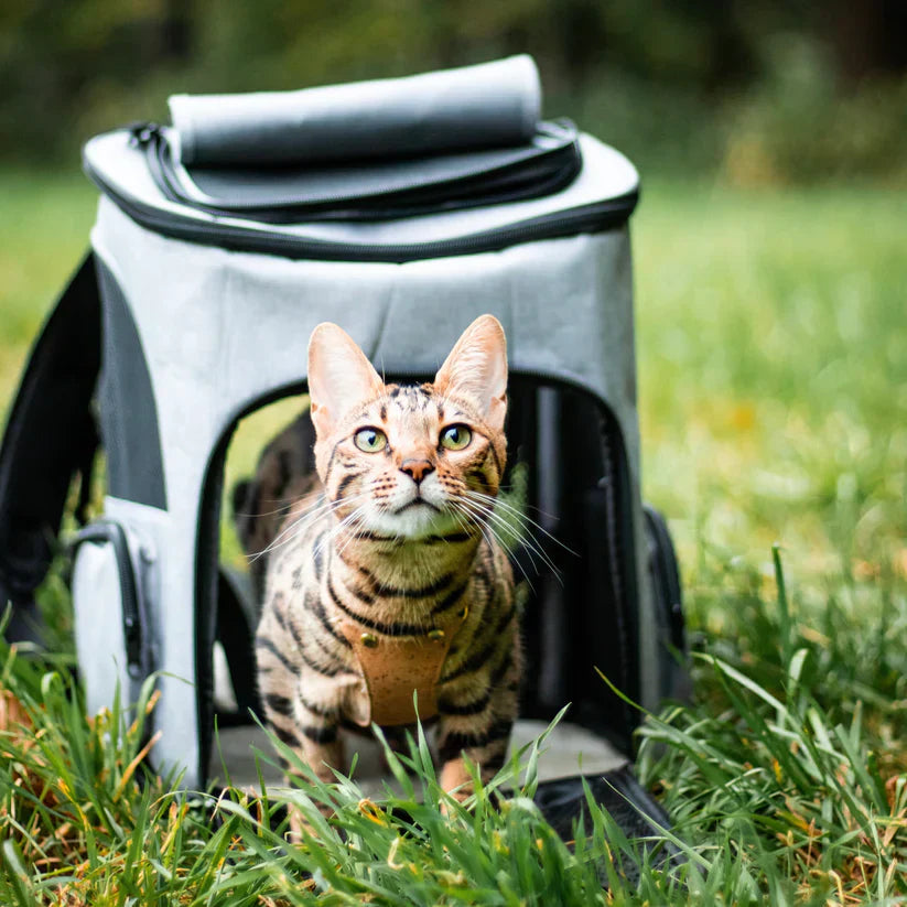 Kattenrugzak - PurrPack™