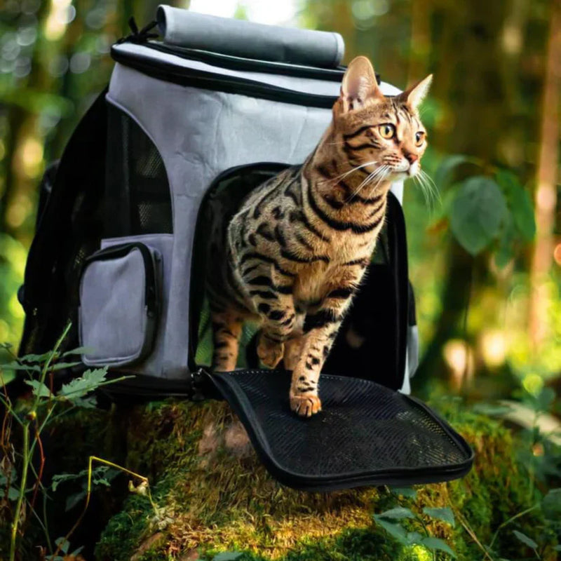 Kattenrugzak - PurrPack™