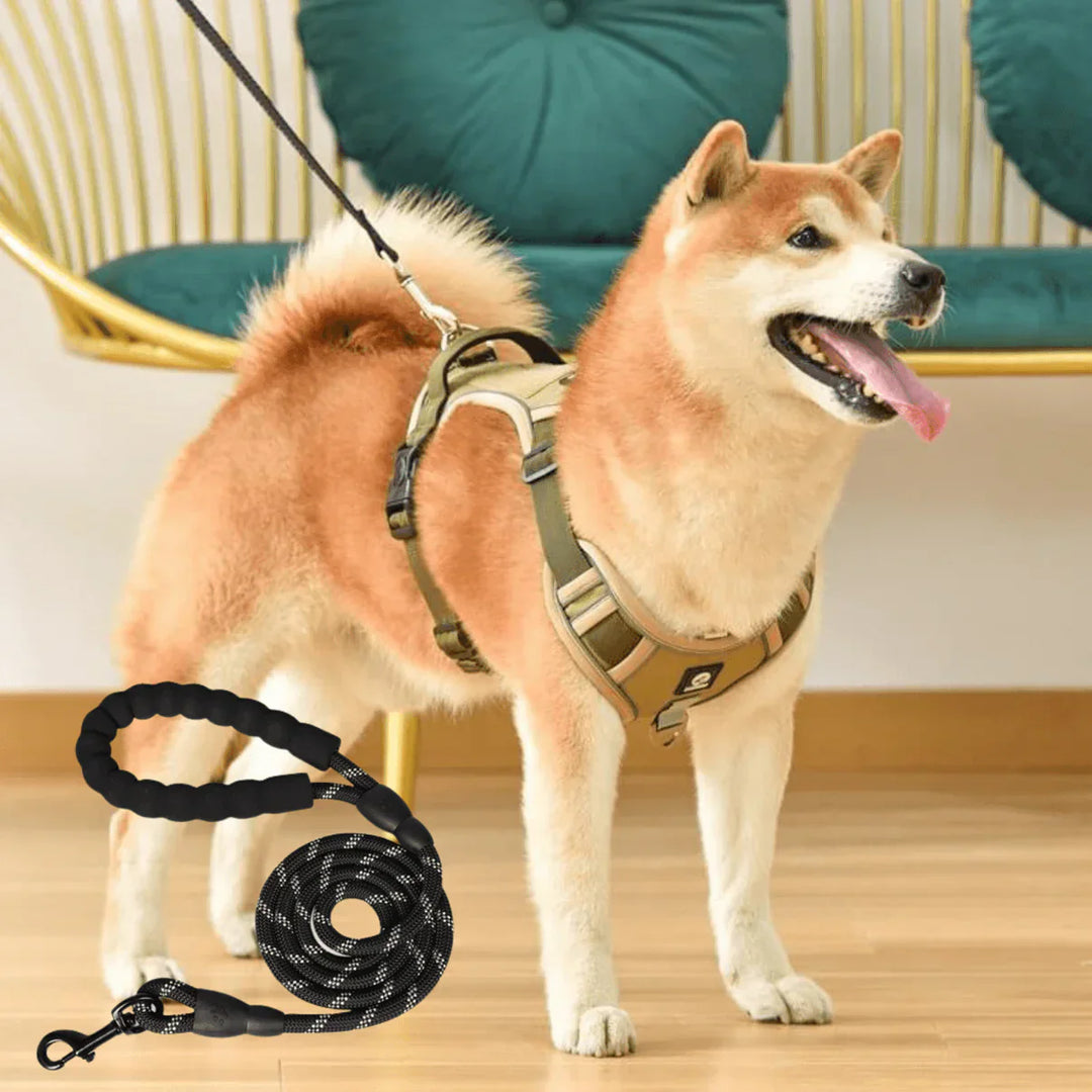 Anti-Zug Hundegeschirr mit Komfortpolsterung – PullFree