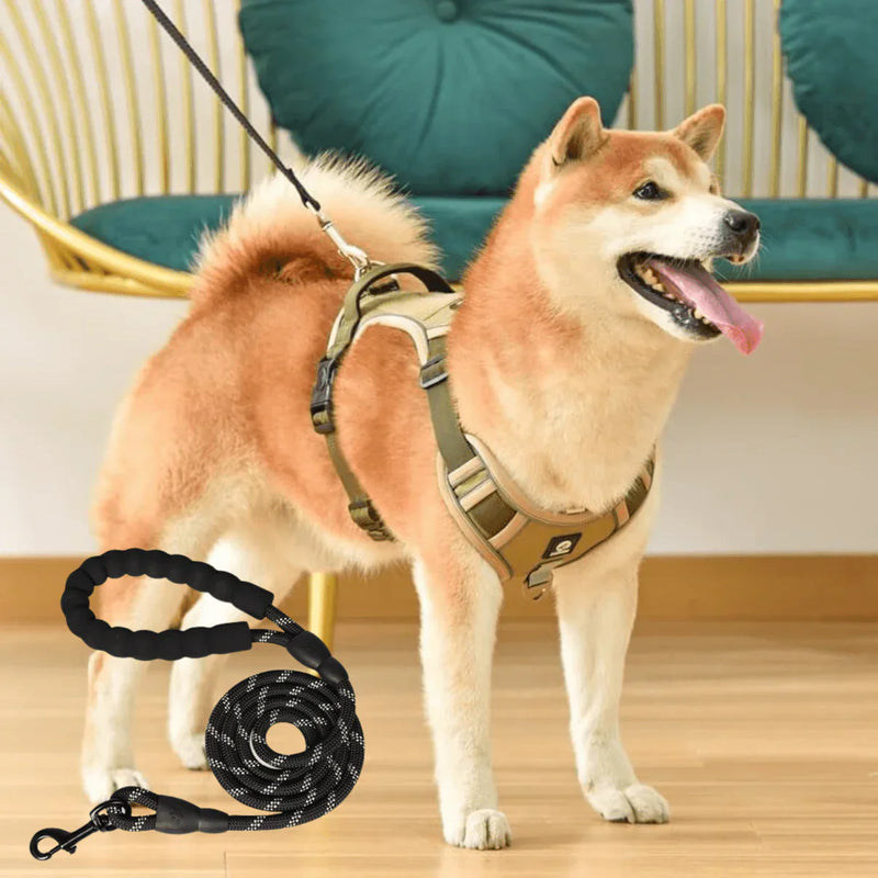 Anti-Zug Hundegeschirr mit Komfortpolsterung – PullFree