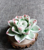 Lotusblumen Räucherstäbchenhalter | Stilvolles Design