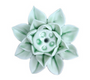 Lotusblumen Räucherstäbchenhalter | Stilvolles Design