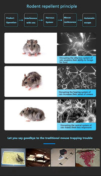 Anti-insect apparaat™ | Weg met beestjes in huis!