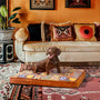 Luxuriöses marokkanisches Hundebett - CasablancaDream