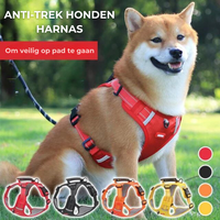 Robustes & bequemes Hundegeschirr - ActivePup™