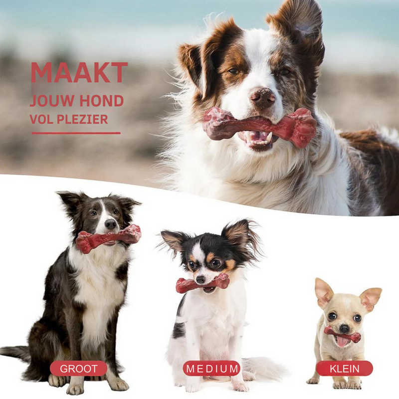 De Speelse Tandverzorger voor Honden - BuddyChew