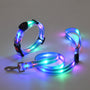 Leuchtendes LED-Hundehalsband mit Gurt - NightBright