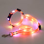 Leuchtendes LED-Hundehalsband mit Gurt - NightBright